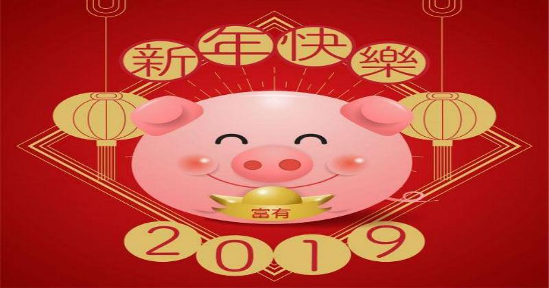 চৈনিক মতে কেমন যাবে ২০১৯ (Chinese Horoscope for 2019)