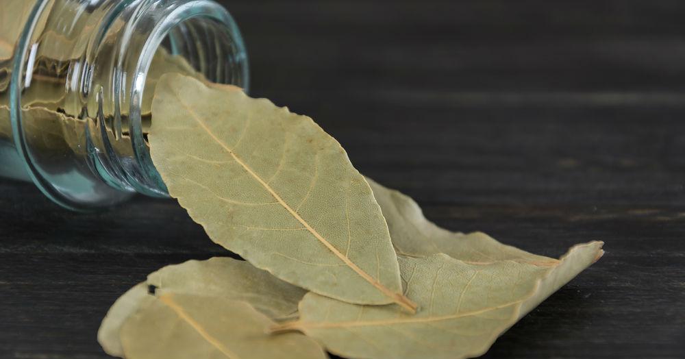 স্বাস্থ্যরক্ষায়, ত্বক ও চুলের যত্নে তেজপাতার উপকারিতা (Benefits of Bay Leaves In Bengali)